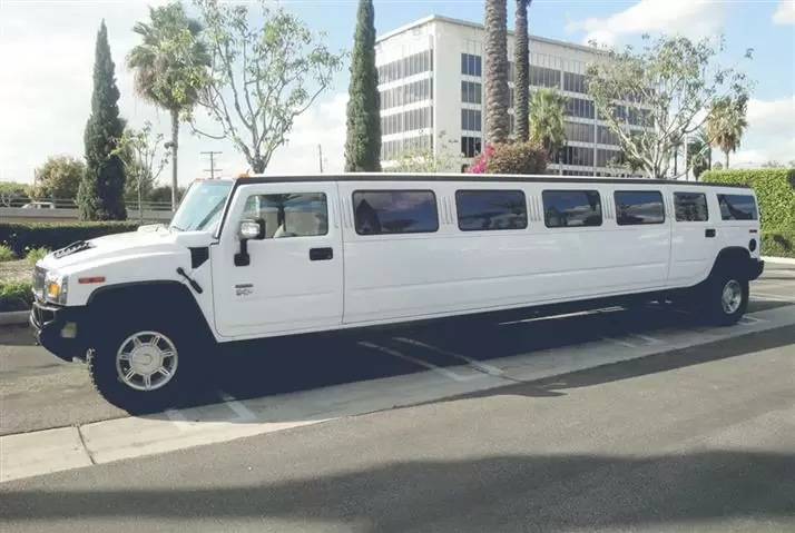 5 Star Limousine image 4