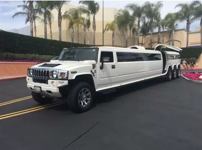 💥RESERVA LIMO SAVADO /DOMINGO image 3