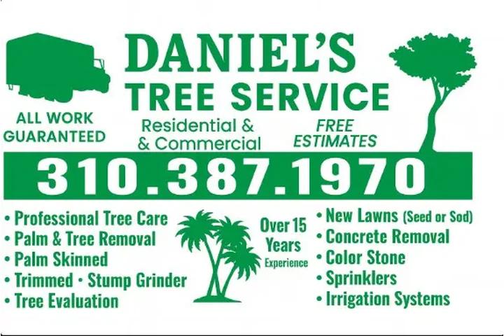 🌳 Tree Service Today! image 1