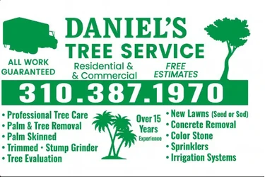 🌳 Tree Service Today! en Los Angeles