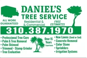 🌳 Tree Service Today! en Los Angeles