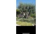 Gardener jardin thumbnail