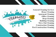 Professional Cleaning Services thumbnail 3