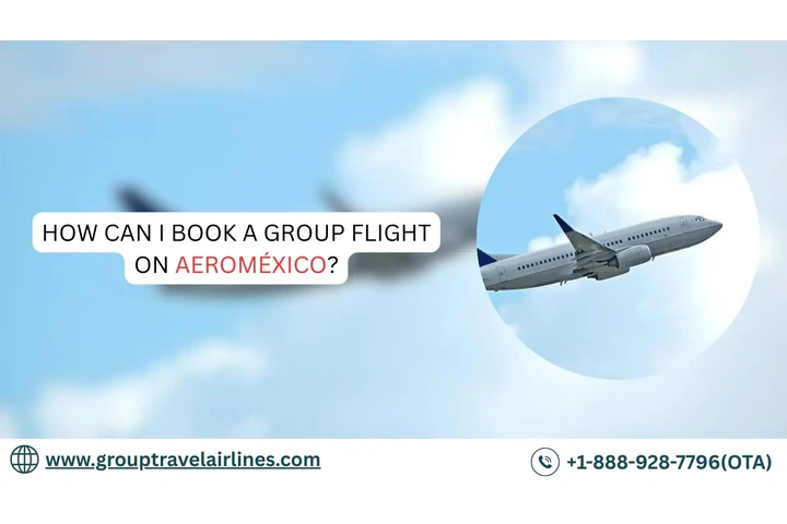 Aeroméxico Group Travel image 1