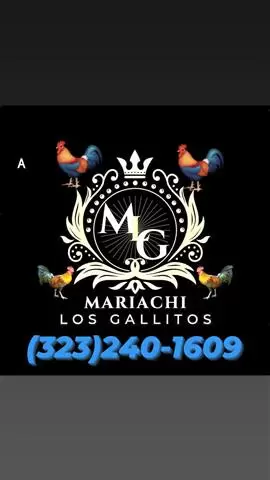 Mariachi Los Gallitos For Hire image 2