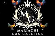 Mariachi Los Gallitos For Hire thumbnail