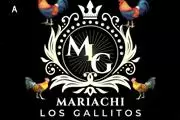 Mariachi Los Gallitos For Hire thumbnail