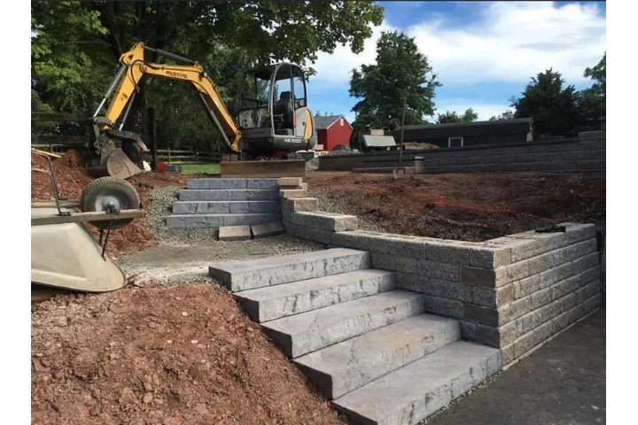 Tree One Experts image 6