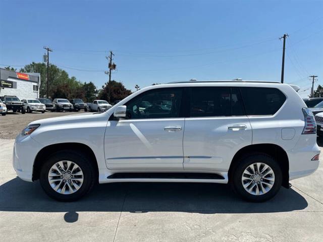 $25197 : 2014 GX 460 image 8