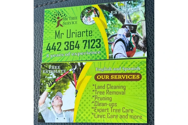 Mr Tree Service image 1