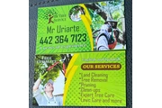 Mr Tree Service en San Bernardino