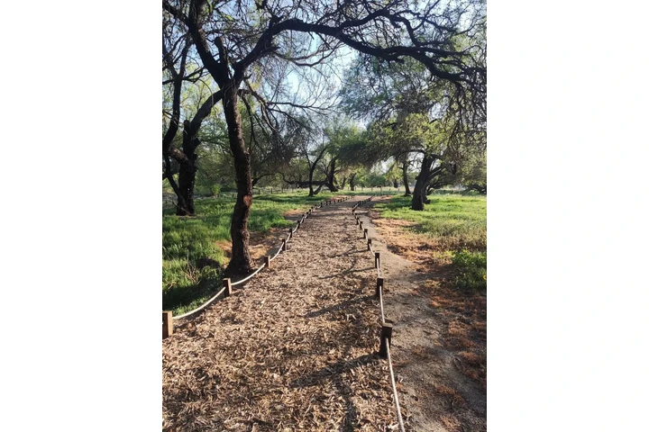 $22500 : TERRENO CAMPESTRE EN TECATE image 9