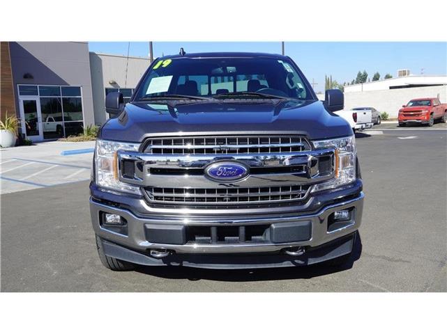 $32998 : 2019 F-150 XLT Pickup 4D 5 1/ image 3