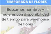 OFERTA TEMPORADA DE FLORES thumbnail