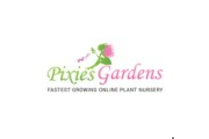 Online Plant Nursery image 1