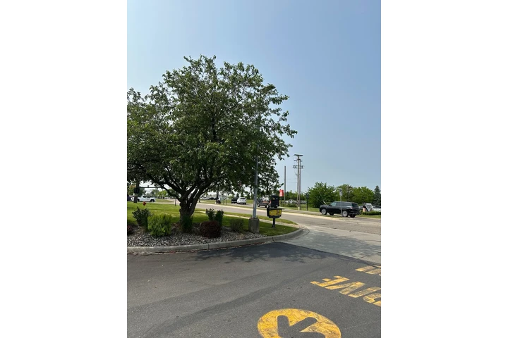 Capacs Lawncare and Landscapin image 6