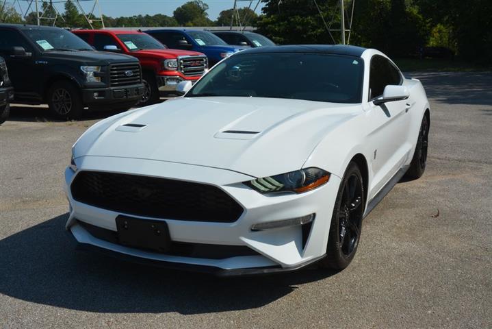 2019 Mustang EcoBoost image 2