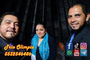 trio musical en cdmx y edomex en Mexico DF