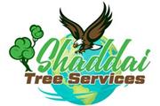 Shaddai Tree Services thumbnail 3