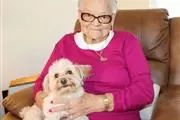 $400 : YORKIES FOR SALE thumbnail