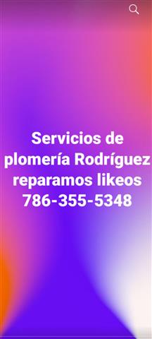 Destupiciones 786-355-5348 image 1