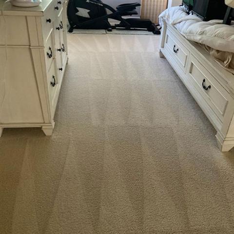 Carpet Cleaning Edwin image 1