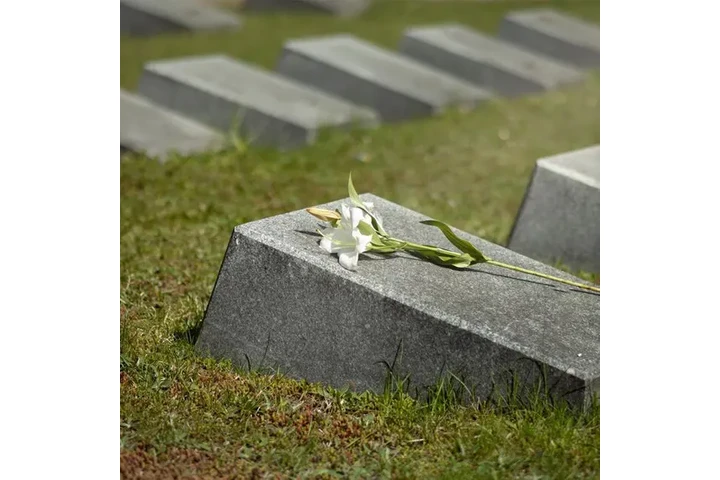 Planes funerarios económicos image 4