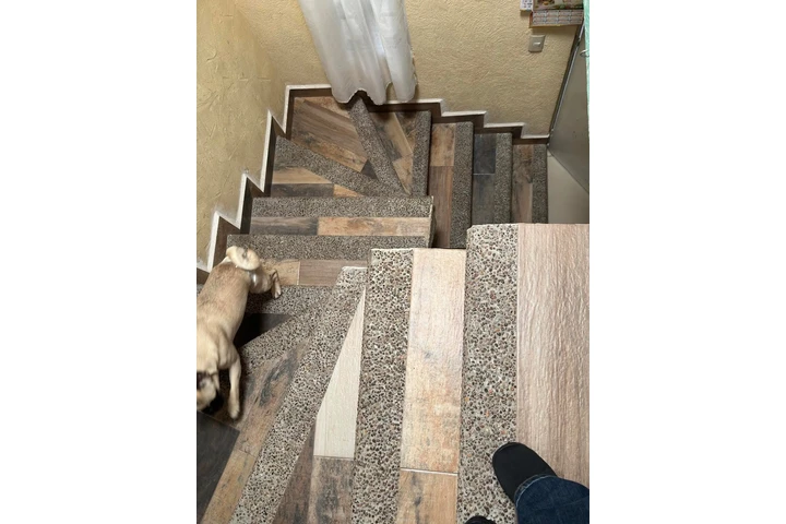 Ecselente image 6