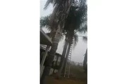 Servicios de jardinería thumbnail