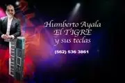 🎠Musica con ambiente📺SB en San Bernardino