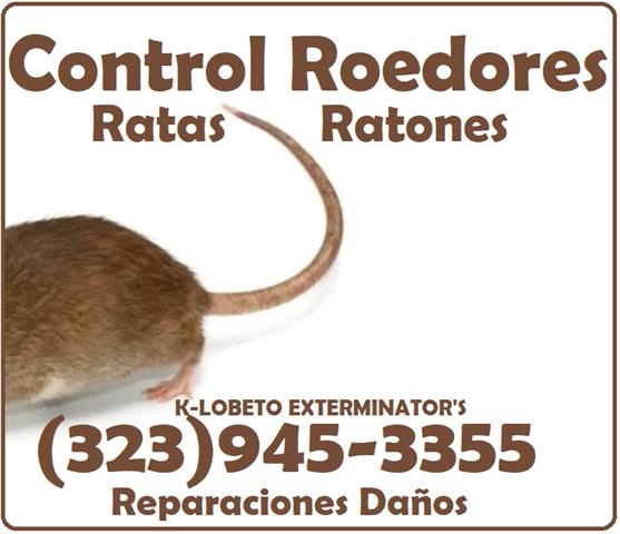 CONTROL ROEDORES-REPARACIONES. image 6