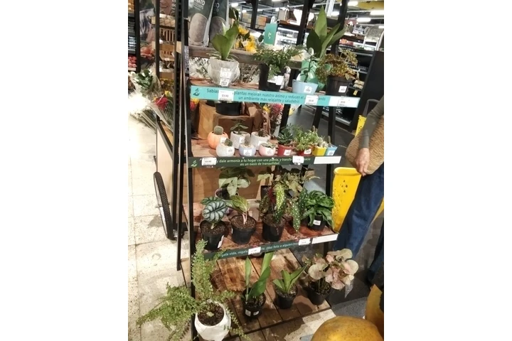 ¡Oportunidad única de negocio image 2