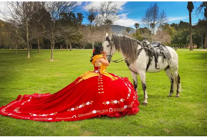 360 El Torito image 4