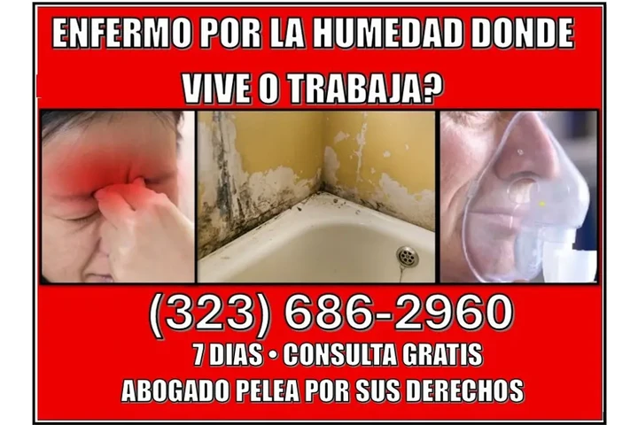 🔥¿TIENE PROBLEMAS DE HUMEDAD? image 1