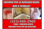 🔥¿TIENE PROBLEMAS DE HUMEDAD? en Los Angeles