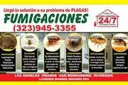 PEST CONTROL / TERMITE en Los Angeles