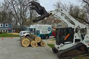 Tree Services in Glen Burnie en Baltimore