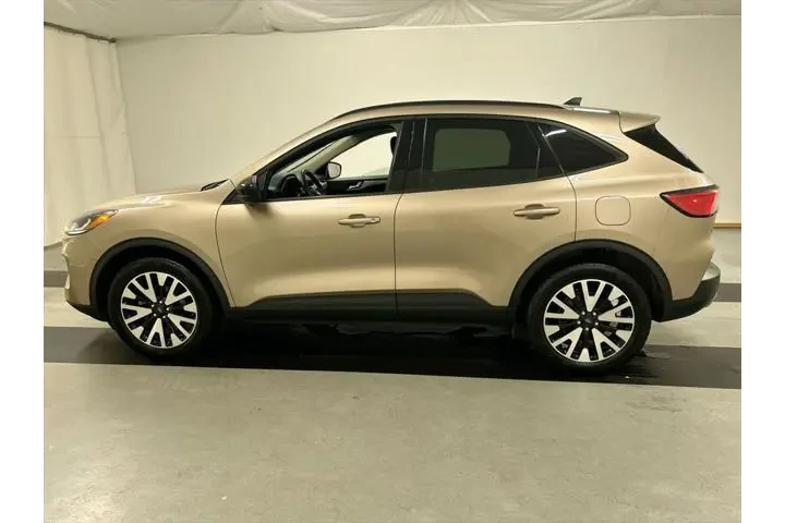 $20225 : Ford Escape Hybrid 2020 AWD image 6