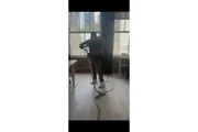 Janitorial Service en San Francisco Bay Area