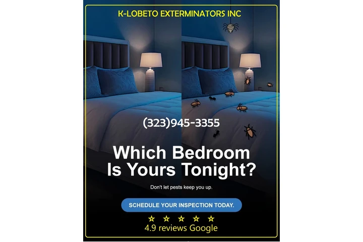 PEST CONTROL NEAR ME 24/7.- image 9