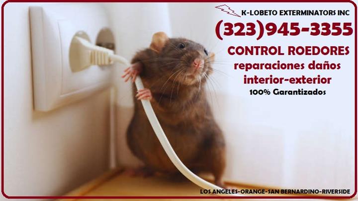 RODENTS PEST CONTROL SERVICES. image 4