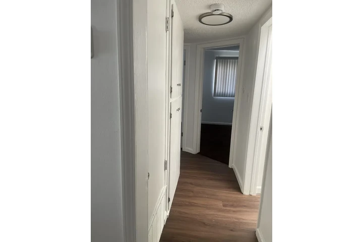 $2595 : LINCOLN PARK LOS ANGELES image 8