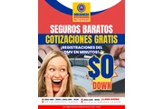 Asistimos con los tramites Dmv thumbnail