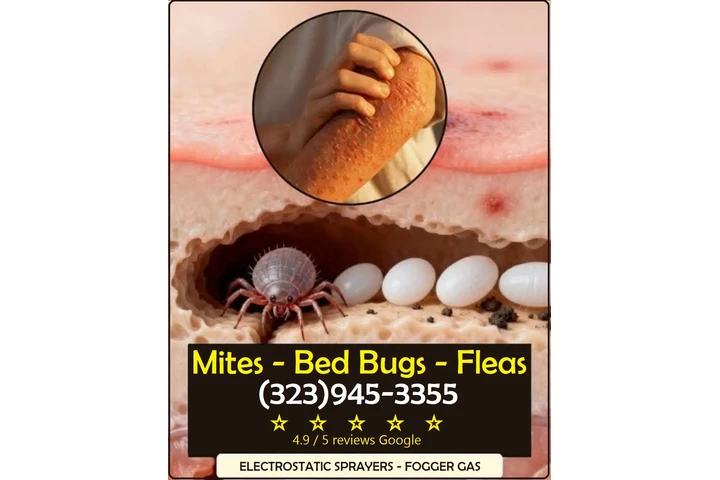 FUMIGACIONES HUNTINGTON PARK image 6