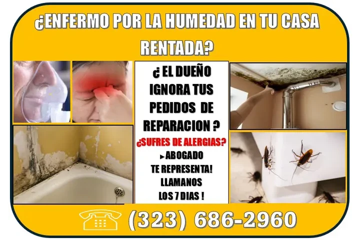 🔥ENFERMO? PROBLEMA DE HUMEDAD image 1