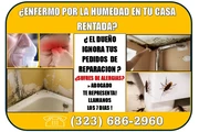 🔥ENFERMO? PROBLEMA DE HUMEDAD en Los Angeles