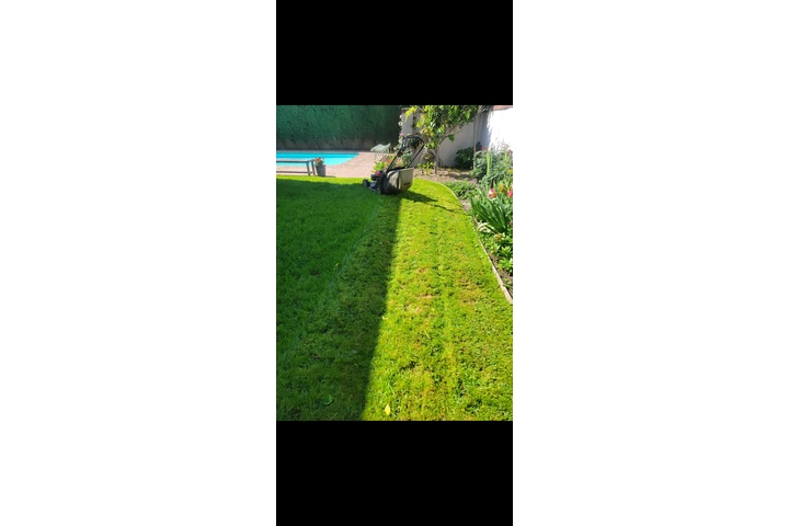 Alvarez Gardening image 1