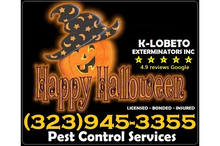 FUMIGACIONES 🎃 🦇 HALLOWEEN.- image 9