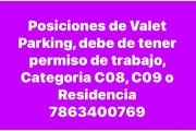 Valet Parquing en Miami