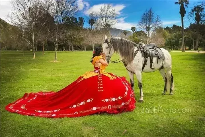 FOTOGRAFÍA Y VIDEO image 6